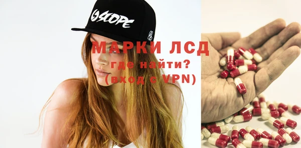 шишки Аркадак
