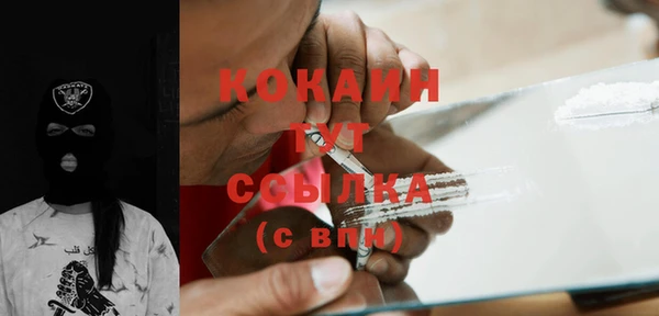 шишки Аркадак