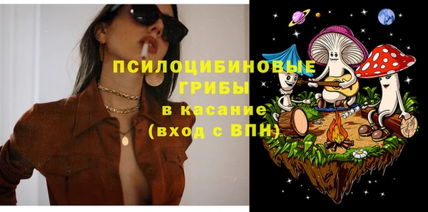 мдпв Семёнов