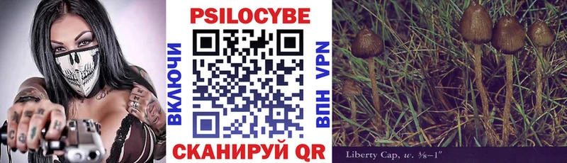 Псилоцибиновые грибы GOLDEN TEACHER  где можно купить наркотик  нарко площадка как зайти  Сасово 